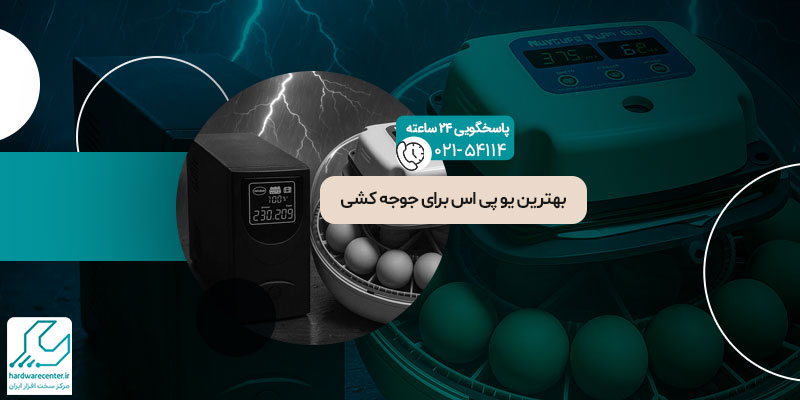 بهترین یو پی اس برای جوجه کشی،