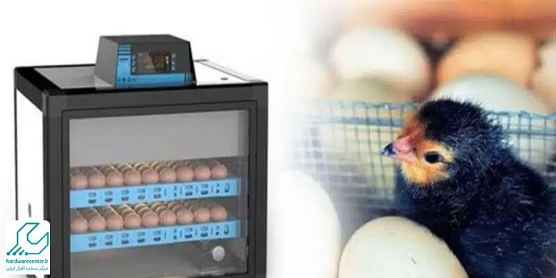 ویژگی های بهترین یو پی اس برای جوجه کشی